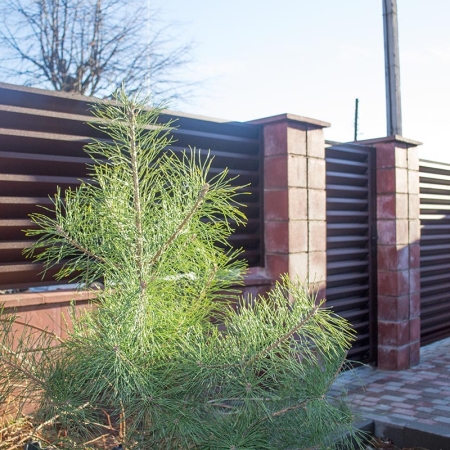 Реальные фотографии забора жалюзи с объекта Минск