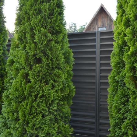 Реальные фотографии забора жалюзи с объекта СТ Пралеска