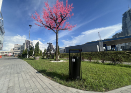 Реальные фотографии нашей продукции с Большого Тростинца