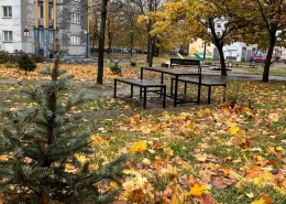 Реальные фотографии нашей продукции с Большого Тростинца