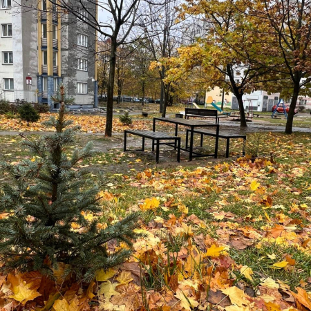 Реальные фотографии нашей продукции с Большого Тростинца